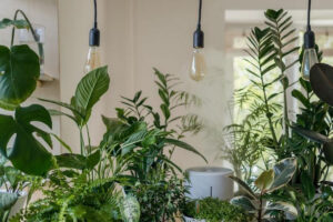 House Staging With Plants